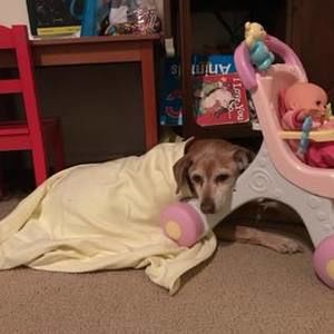 Meet your Posher, Veronica